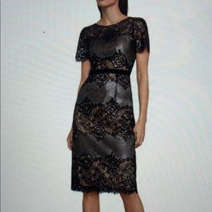 BCBGMAXAZRIA Lace Metallic Cocktail Dress
